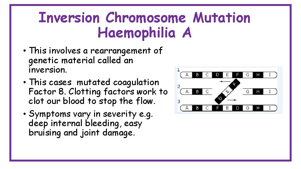 Inversion Chromosome Mutation Haemophilia A • This involves a rearrangement of genetic material called