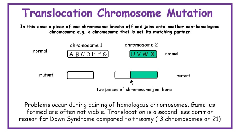 Translocation Chromosome Mutation In this case a piece of one chromosome breaks off and