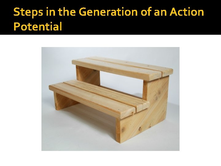 Steps in the Generation of an Action Potential 