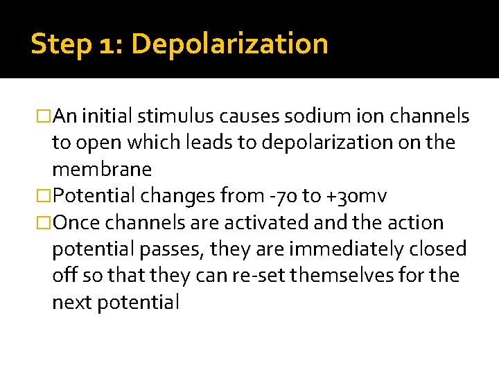 Step 1: Depolarization �An initial stimulus causes sodium ion channels to open which leads