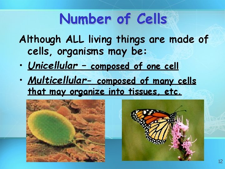 Number of Cells Although ALL living things are made of cells, organisms may be: