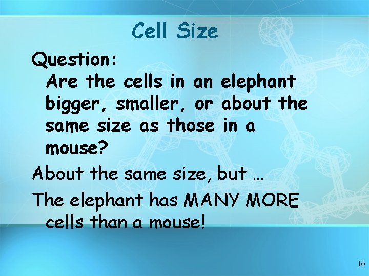 Cell Size Question: Are the cells in an elephant bigger, smaller, or about the