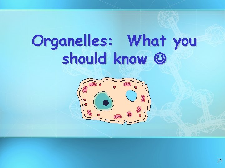 Organelles: What you should know 29 