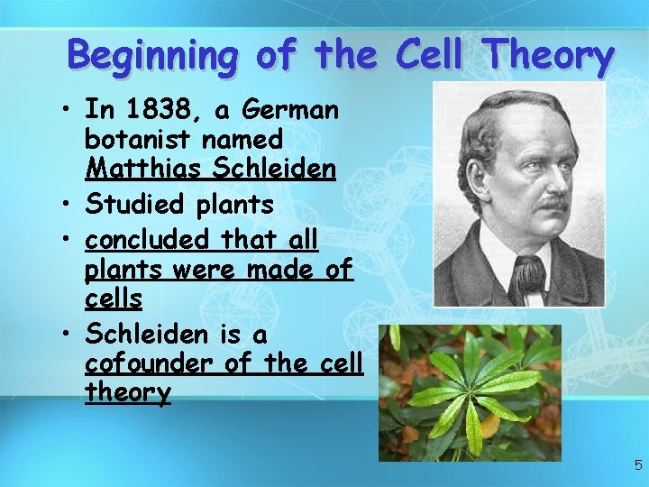 Beginning of the Cell Theory • In 1838, a German botanist named Matthias Schleiden