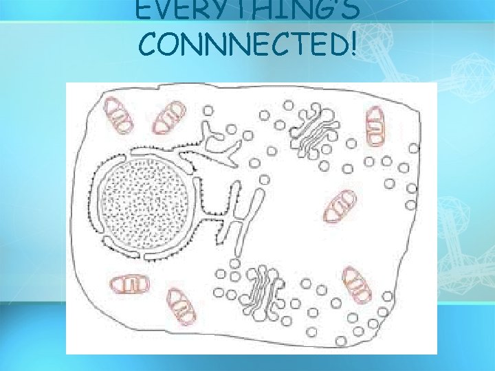 EVERYTHING’S CONNNECTED! 