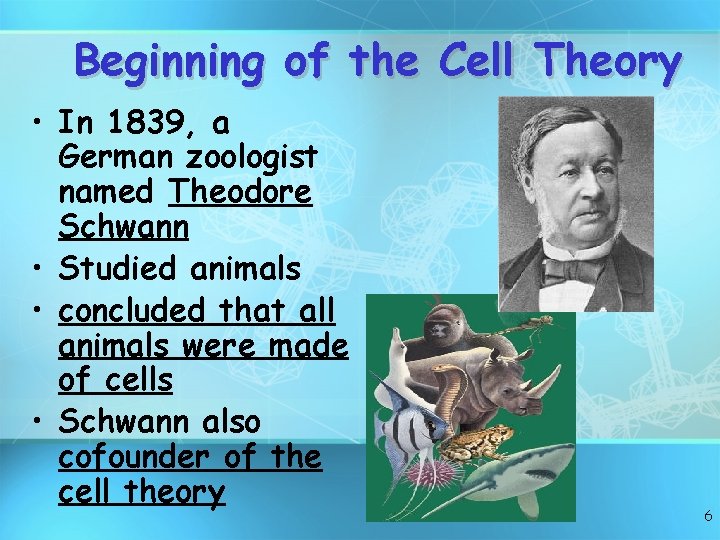 Beginning of the Cell Theory • In 1839, a German zoologist named Theodore Schwann
