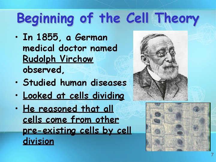 Beginning of the Cell Theory • In 1855, a German medical doctor named Rudolph