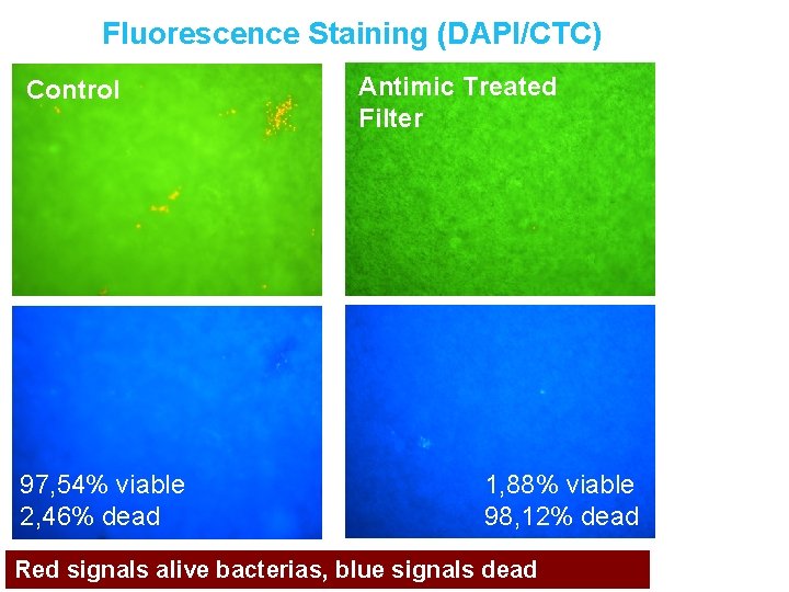 Fluorescence Staining (DAPI/CTC) Control 97, 54% viable 2, 46% dead Antimic Treated Filter 1,