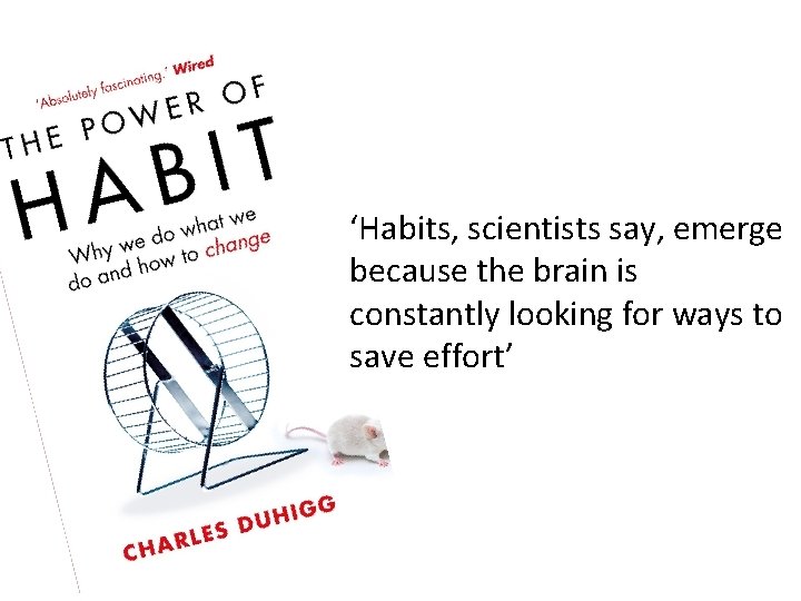 ‘Habits, scientists say, emerge because the brain is constantly looking for ways to save