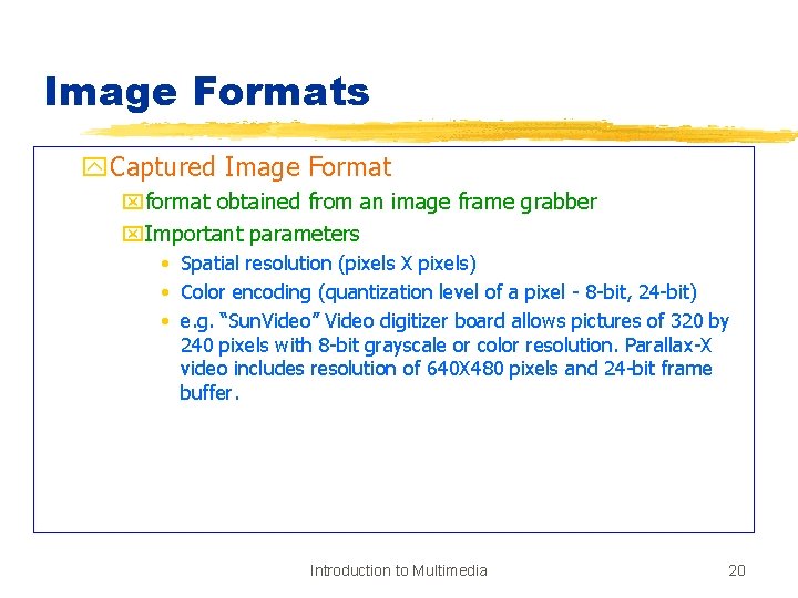 Image Formats y. Captured Image Format xformat obtained from an image frame grabber x.