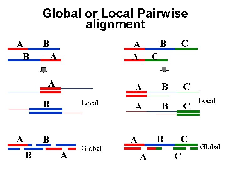 Global or Local Pairwise alignment A B B A A A B A Local Global or Local Pairwise alignment A B B A A A B A Local