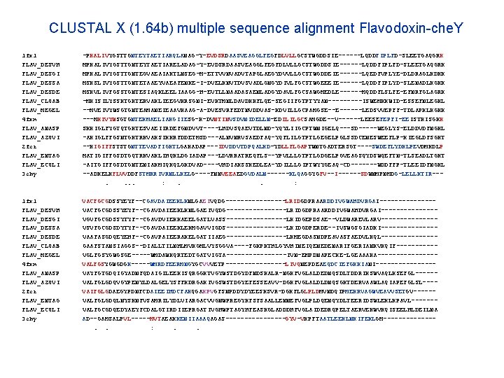 CLUSTAL X (1. 64 b) multiple sequence alignment Flavodoxin-che. Y 1 fx 1 FLAV_DESVH CLUSTAL X (1. 64 b) multiple sequence alignment Flavodoxin-che. Y 1 fx 1 FLAV_DESVH