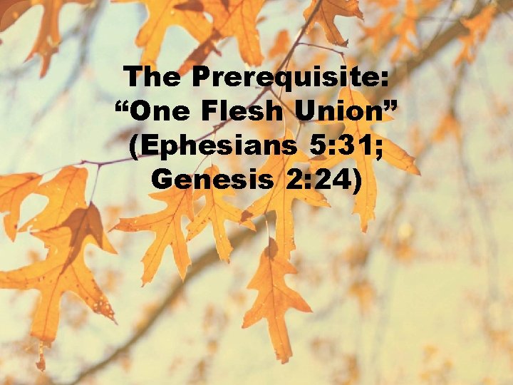 The Prerequisite: “One Flesh Union” (Ephesians 5: 31; Genesis 2: 24) 