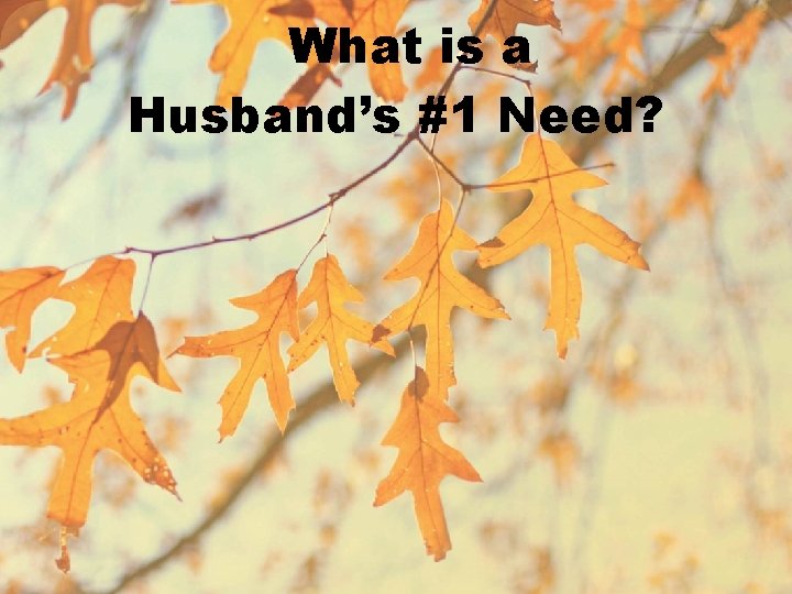 What is a Husband’s #1 Need? 