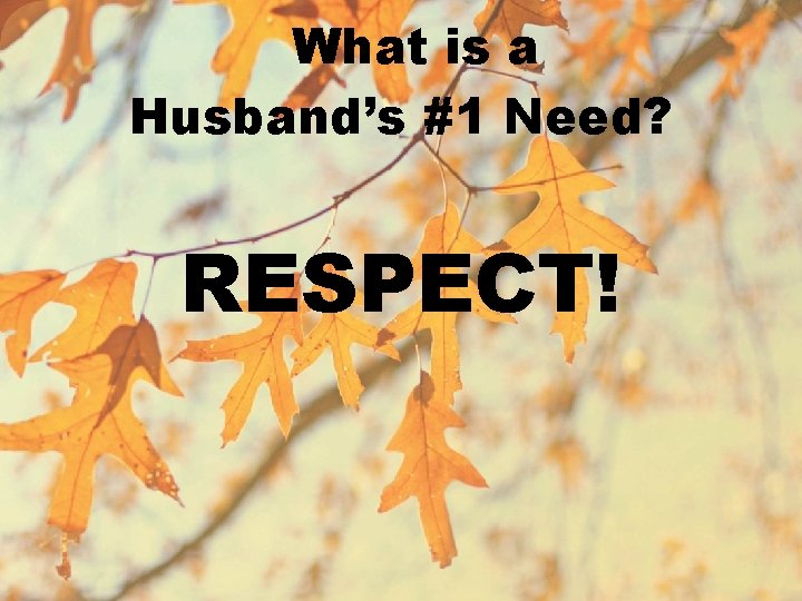 What is a Husband’s #1 Need? RESPECT! 