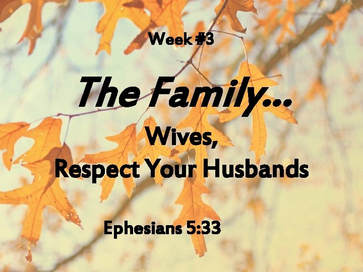 Week #3 The Family… Wives, Respect Your Husbands Ephesians 5: 33 