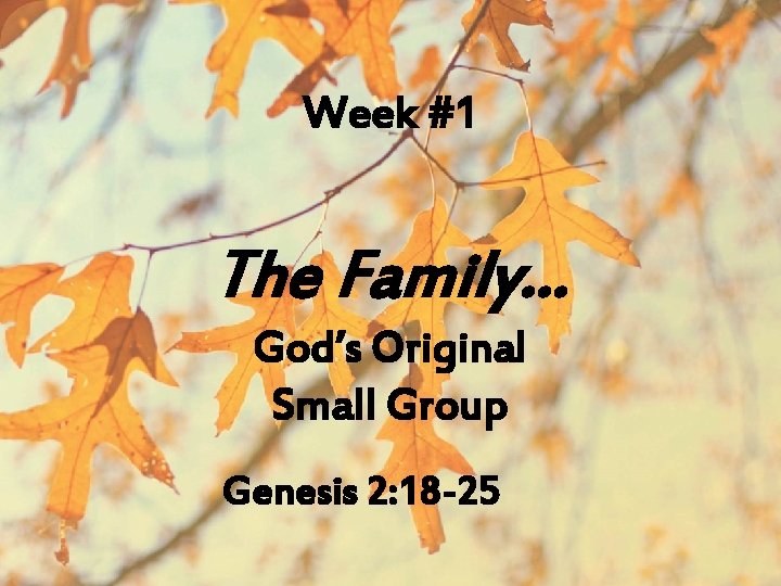 Week #1 The Family… God’s Original Small Group Genesis 2: 18 -25 