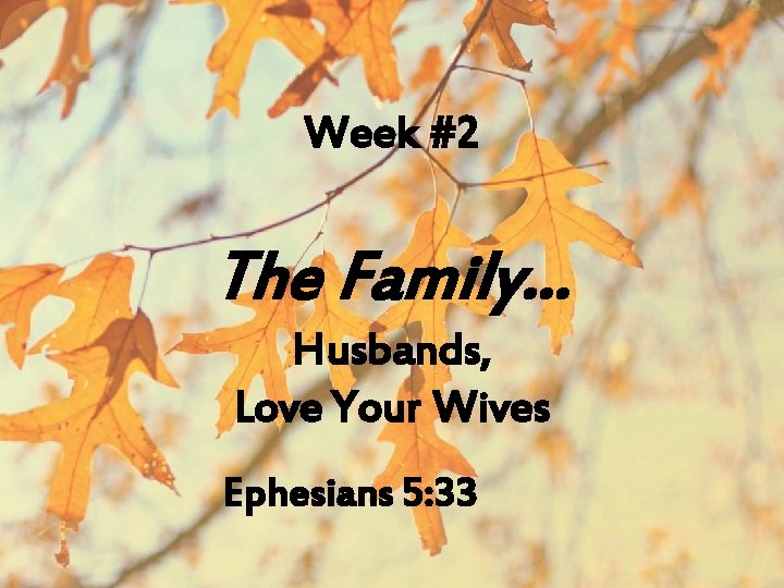 Week #2 The Family… Husbands, Love Your Wives Ephesians 5: 33 