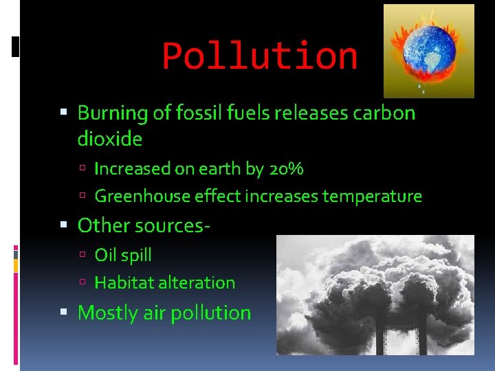Pollution Burning of fossil fuels releases carbon dioxide Increased on earth by 20% Greenhouse