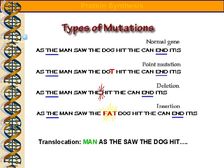 Protein Synthesis Translocation: MAN AS THE SAW THE DOG HIT…. 