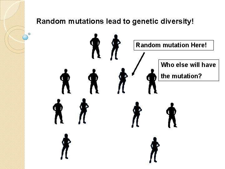 Random mutations lead to genetic diversity! Random mutation Here! Who else will have the