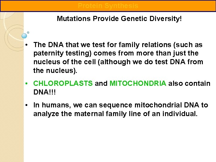 Protein Synthesis Mutations Provide Genetic Diversity! • The DNA that we test for family