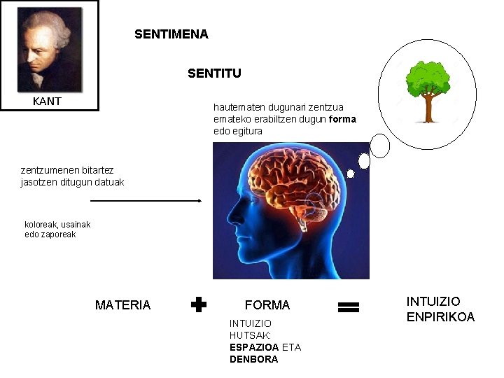 SENTIMENA SENTITU KANT hautematen dugunari zentzua emateko erabiltzen dugun forma edo egitura zentzumenen bitartez