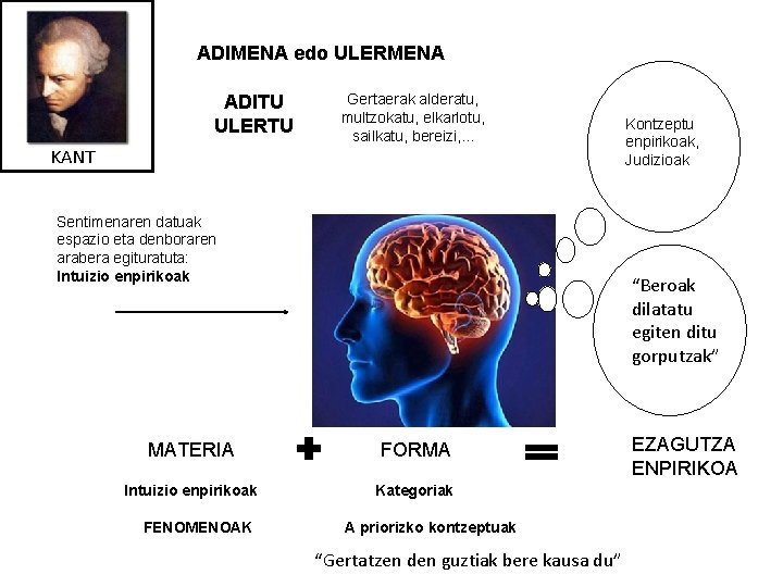 ADIMENA edo ULERMENA ADITU ULERTU Gertaerak alderatu, multzokatu, elkarlotu, sailkatu, bereizi, . . .