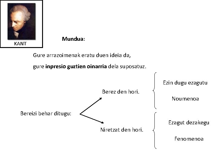 KANT Mundua: Gure arrazoimenak eratu duen ideia da, gure inpresio guztien oinarria dela suposatuz.