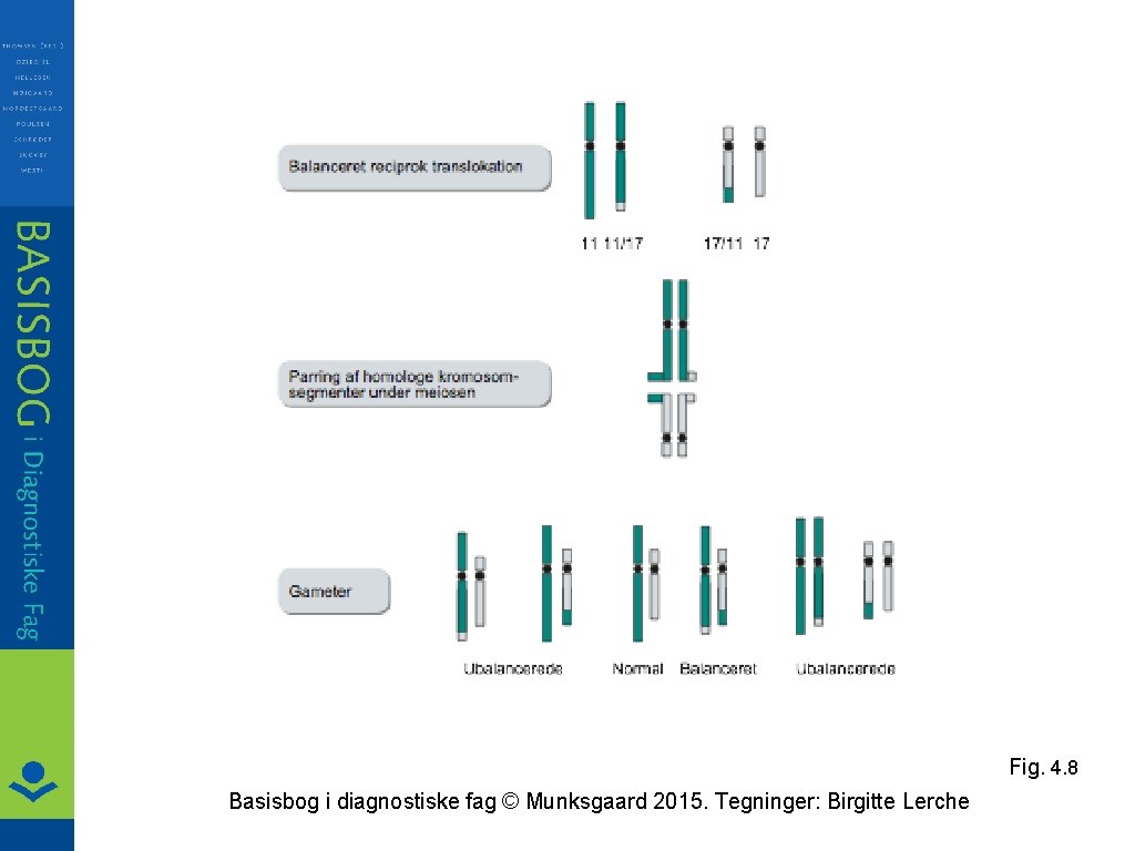 Fig. 4. 8 Basisbog i diagnostiske fag © Munksgaard 2015. Tegninger: Birgitte Lerche 