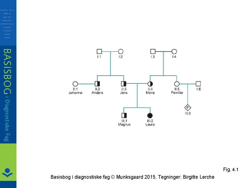 Fig. 4. 1 Basisbog i diagnostiske fag © Munksgaard 2015. Tegninger: Birgitte Lerche 