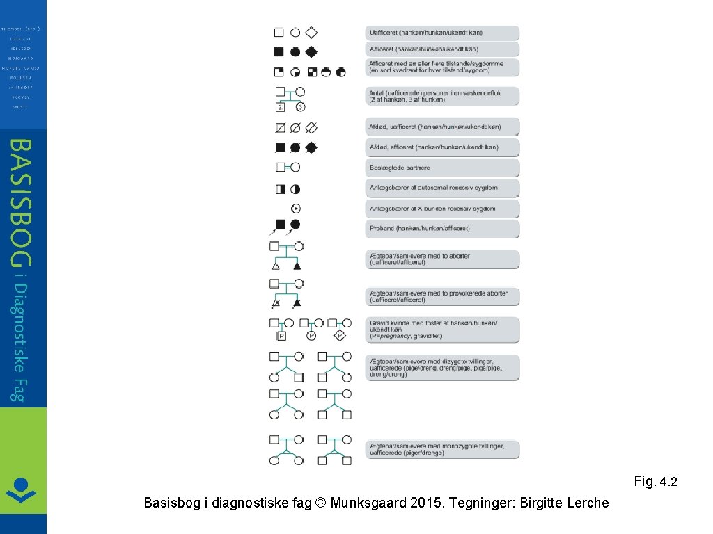 Fig. 4. 2 Basisbog i diagnostiske fag © Munksgaard 2015. Tegninger: Birgitte Lerche 