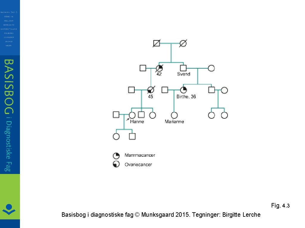 Fig. 4. 3 Basisbog i diagnostiske fag © Munksgaard 2015. Tegninger: Birgitte Lerche 