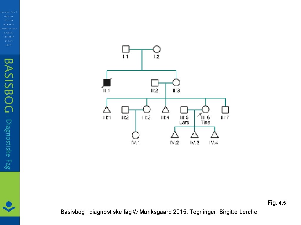 Fig. 4. 5 Basisbog i diagnostiske fag © Munksgaard 2015. Tegninger: Birgitte Lerche 