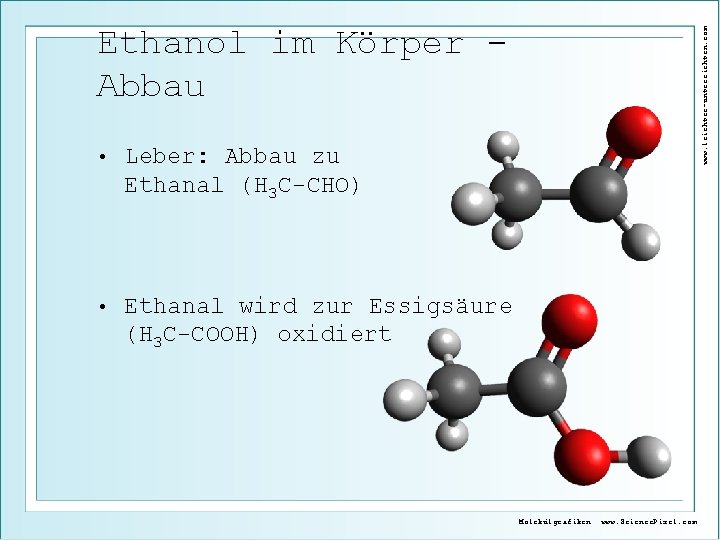  • Leber: Abbau zu Ethanal (H 3 C-CHO) • Ethanal wird zur Essigsäure