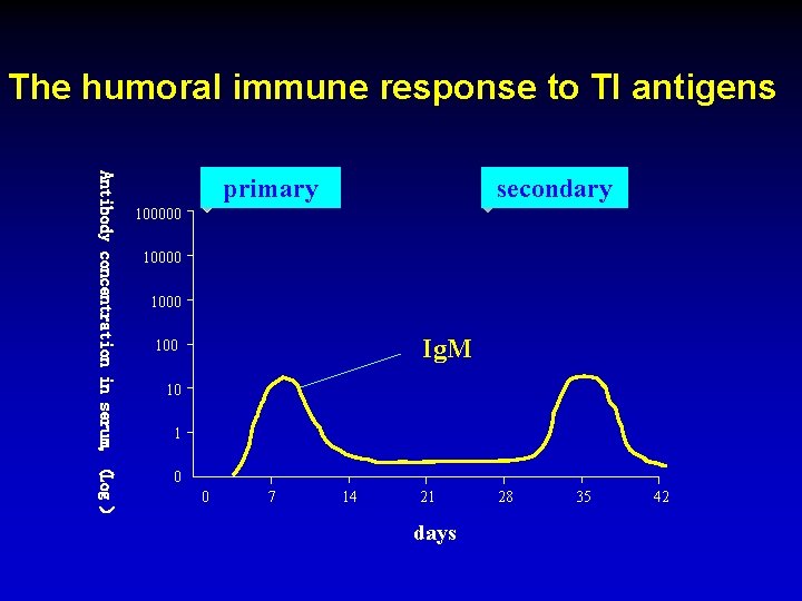 The humoral immune response to TI antigens Antibody concentration in serum, （Log ） primary