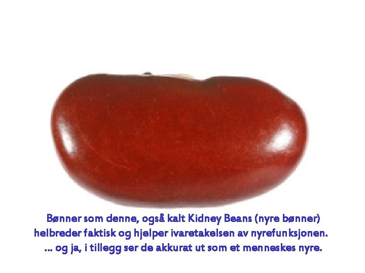 Bønner som denne, også kalt Kidney Beans (nyre bønner) helbreder faktisk og hjelper ivaretakelsen