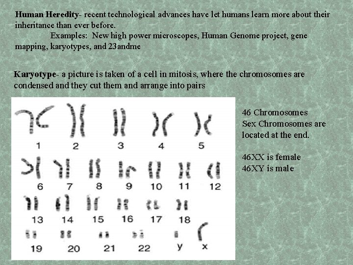 Human Heredity- recent technological advances have let humans learn more about their inheritance than