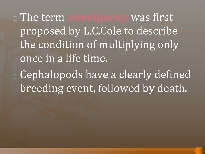 The term semelparity was first proposed by L. C. Cole to describe the condition