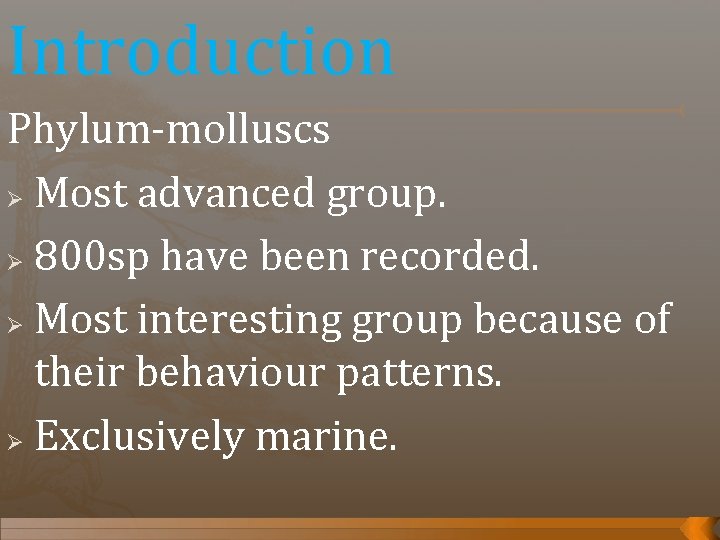 Introduction Phylum-molluscs Ø Most advanced group. Ø 800 sp have been recorded. Ø Most