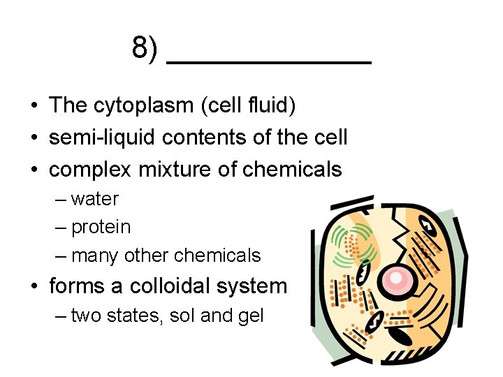 8) ______ • The cytoplasm (cell fluid) • semi-liquid contents of the cell •