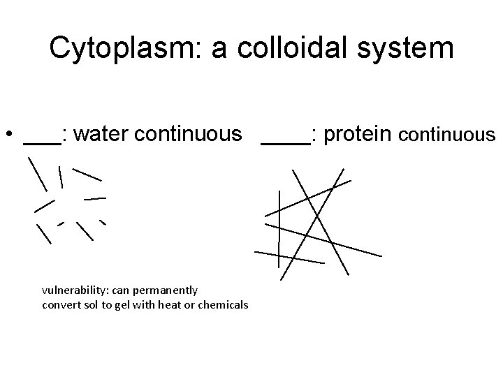 Cytoplasm: a colloidal system • ___: water continuous ____: protein continuous vulnerability: can permanently