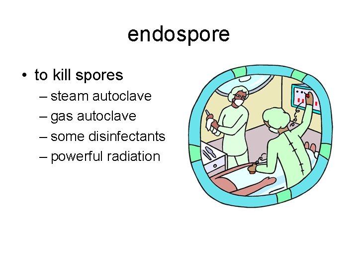 endospore • to kill spores – steam autoclave – gas autoclave – some disinfectants