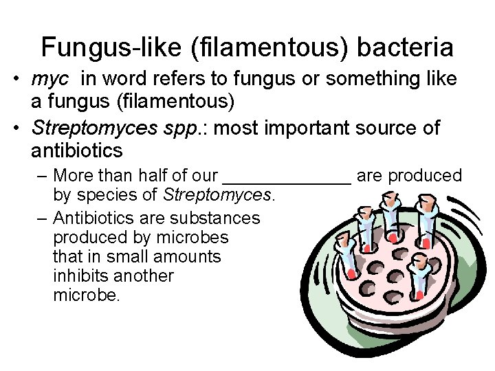 Fungus-like (filamentous) bacteria • myc in word refers to fungus or something like a