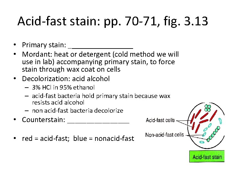 Acid-fast stain: pp. 70 -71, fig. 3. 13 • Primary stain: ________ • Mordant: