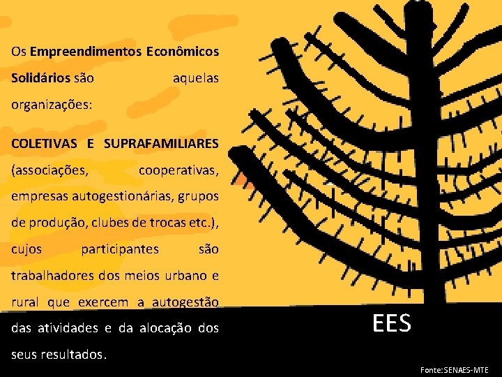 Os Empreendimentos Econômicos Solidários são aquelas organizações: COLETIVAS E SUPRAFAMILIARES (associações, cooperativas, empresas autogestionárias,