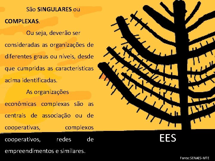 São SINGULARES ou COMPLEXAS. Ou seja, deverão ser consideradas as organizações de diferentes graus