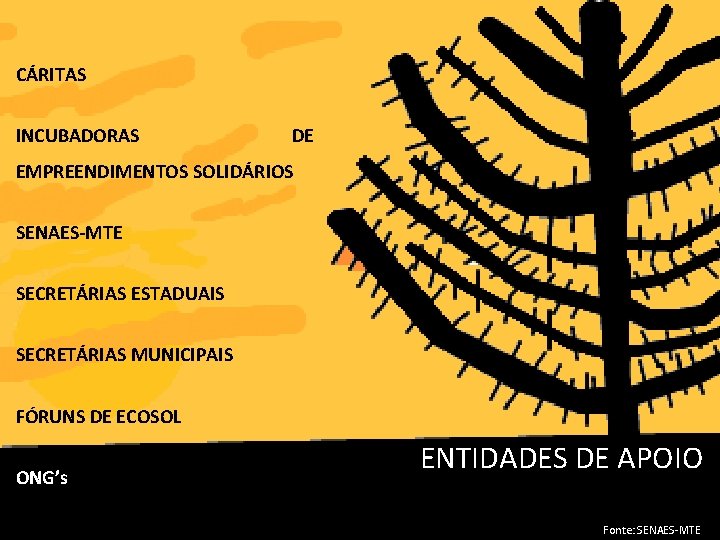 CÁRITAS INCUBADORAS DE EMPREENDIMENTOS SOLIDÁRIOS SENAES-MTE SECRETÁRIAS ESTADUAIS SECRETÁRIAS MUNICIPAIS FÓRUNS DE ECOSOL ONG’s