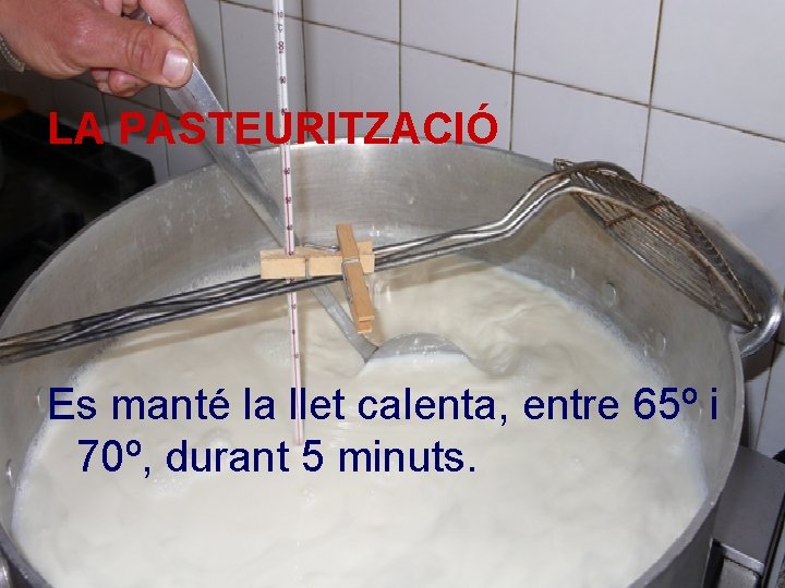 LA PASTEURITZACIÓ Es manté la llet calenta, entre 65º i 70º, durant 5 minuts.