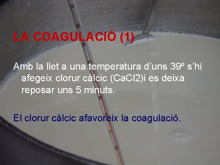 LA COAGULACIÓ (1) Amb la llet a una temperatura d’uns 39º s’hi afegeix clorur
